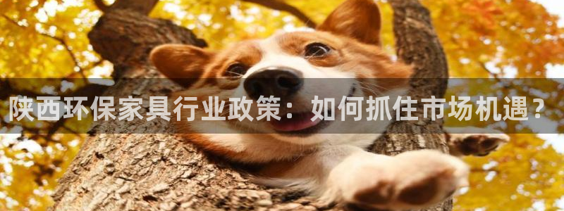 沐鸣2平台首页：陕西环保家具行业政策：如何抓住市场机遇？