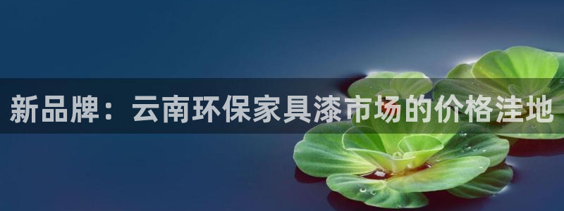 沐鸣2平台怎么注册：新品牌：云南环保家具漆市场的价格洼地
