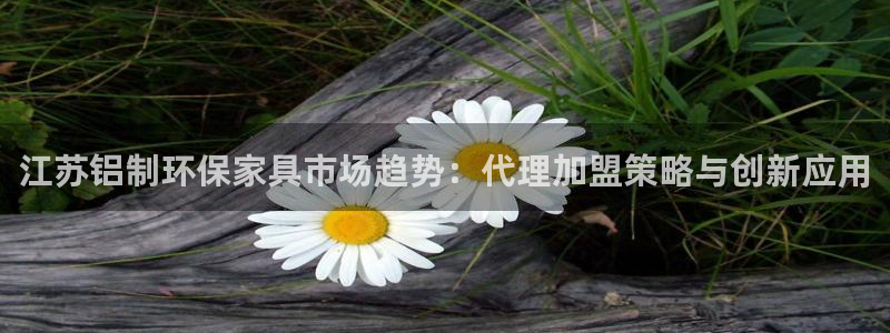 沐鸣2平台注册流程：江苏铝制环保家具市场趋势：代理加盟策略与