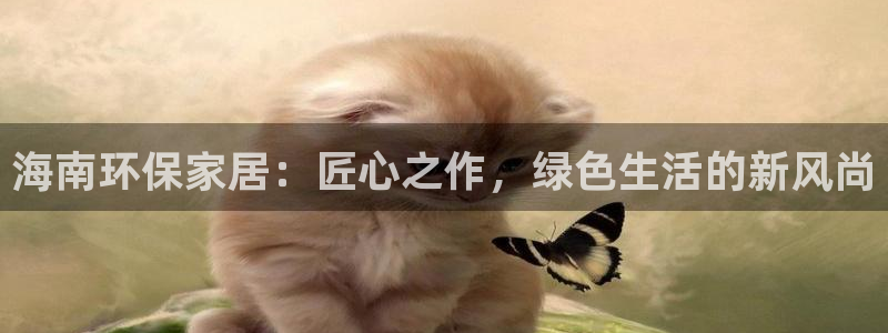 沐鸣2平台是真的吗：海南环保家居：匠心之作，绿色生活的新风尚
