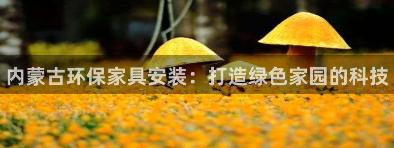 沐鸣2平台代理登录网址查询：内蒙古环保家具安装：打造绿色家园